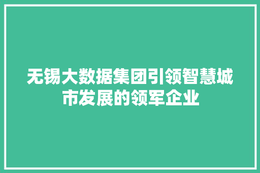 无锡大数据集团引领智慧城市发展的领军企业 服务器/数据库