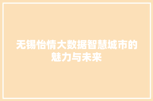 无锡怡情大数据智慧城市的魅力与未来
