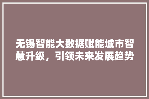 无锡智能大数据赋能城市智慧升级，引领未来发展趋势