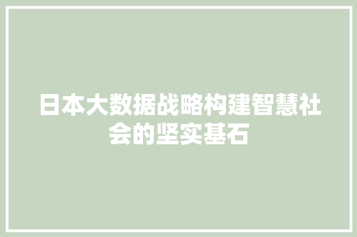 日本大数据战略构建智慧社会的坚实基石
