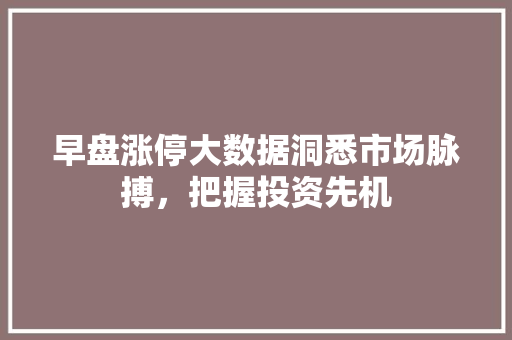 早盘涨停大数据洞悉市场脉搏，把握投资先机