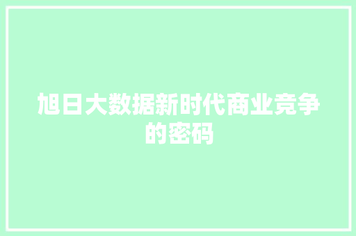 旭日大数据新时代商业竞争的密码