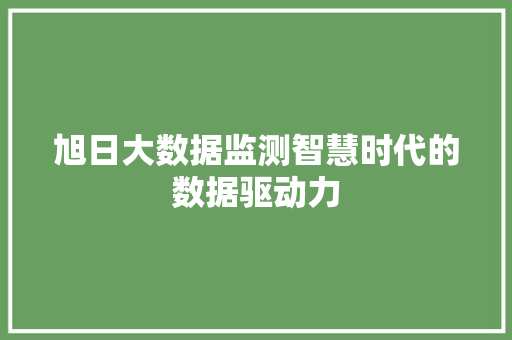 旭日大数据监测智慧时代的数据驱动力 WordPress教程