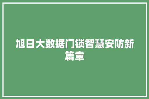 旭日大数据门锁智慧安防新篇章