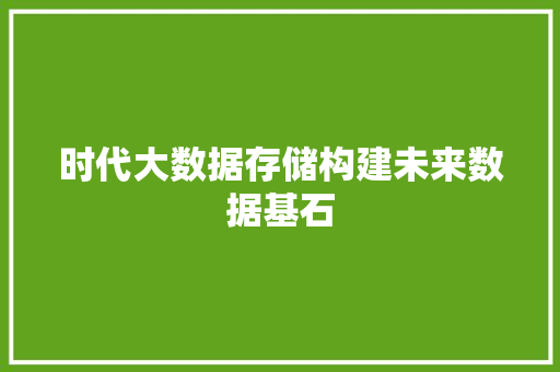 时代大数据存储构建未来数据基石