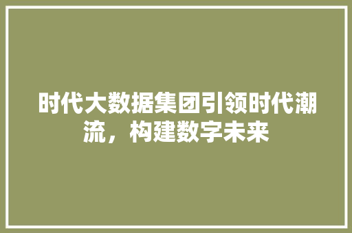 时代大数据集团引领时代潮流，构建数字未来