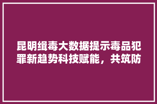 昆明缉毒大数据提示毒品犯罪新趋势科技赋能，共筑防毒长城