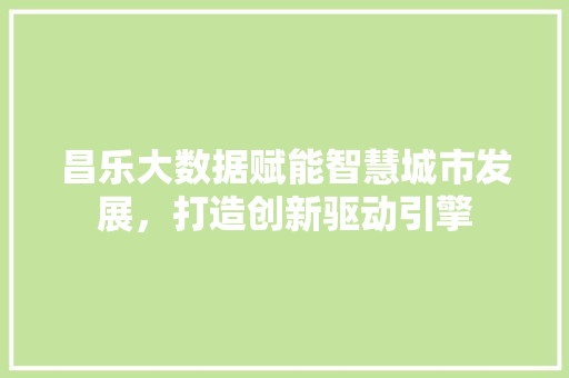 昌乐大数据赋能智慧城市发展，打造创新驱动引擎