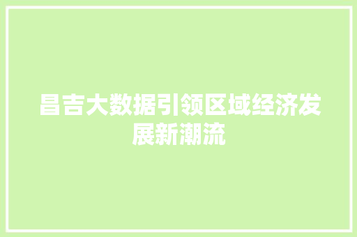 昌吉大数据引领区域经济发展新潮流