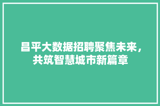 昌平大数据招聘聚焦未来，共筑智慧城市新篇章