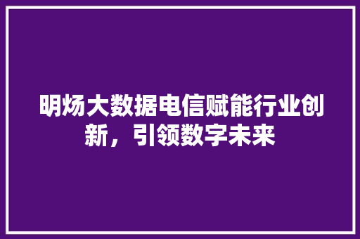 明炀大数据电信赋能行业创新，引领数字未来