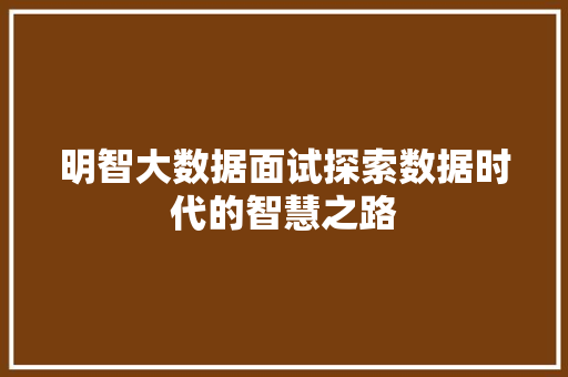 明智大数据面试探索数据时代的智慧之路