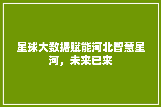 星球大数据赋能河北智慧星河，未来已来 SEO教程
