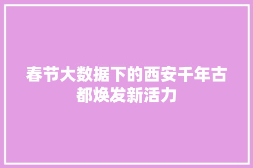 春节大数据下的西安千年古都焕发新活力