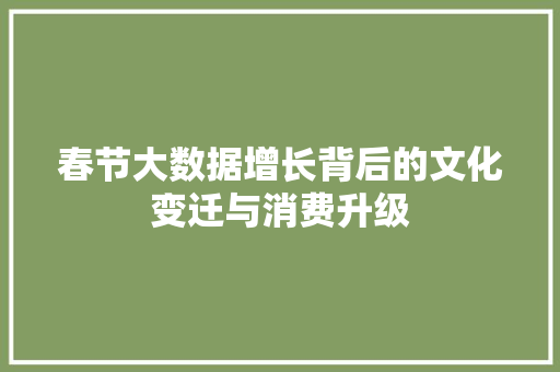 春节大数据增长背后的文化变迁与消费升级