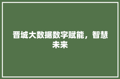 晋城大数据数字赋能，智慧未来