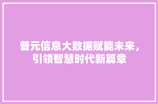 普元信息大数据赋能未来，引领智慧时代新篇章