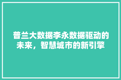 普兰大数据李永数据驱动的未来，智慧城市的新引擎
