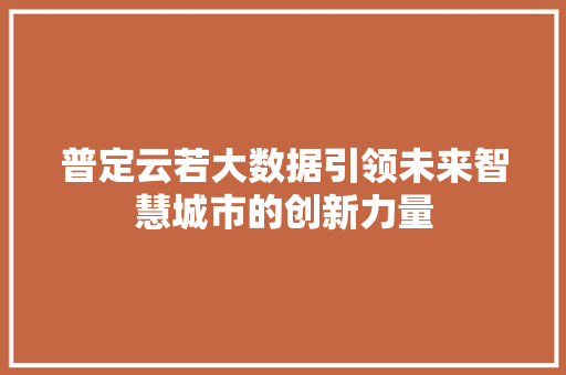 普定云若大数据引领未来智慧城市的创新力量