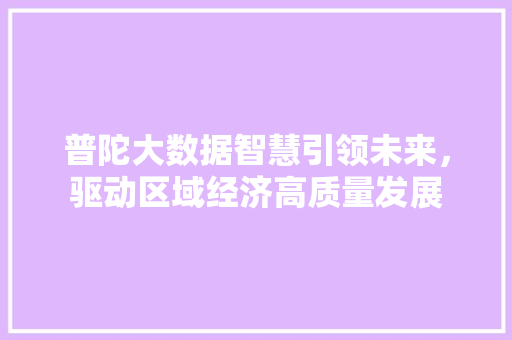 普陀大数据智慧引领未来，驱动区域经济高质量发展