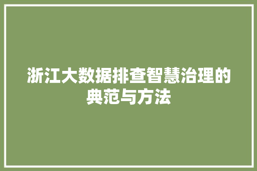 浙江大数据排查智慧治理的典范与方法