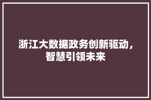 浙江大数据政务创新驱动，智慧引领未来