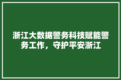 浙江大数据警务科技赋能警务工作，守护平安浙江