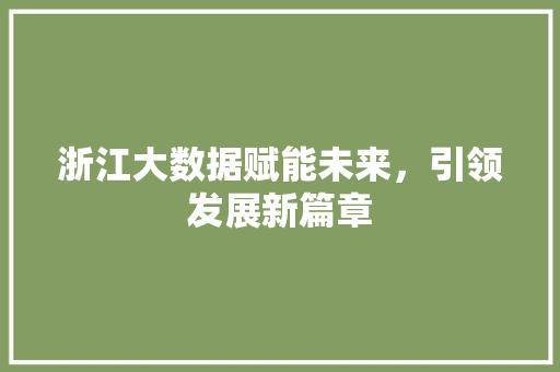 浙江大数据赋能未来，引领发展新篇章