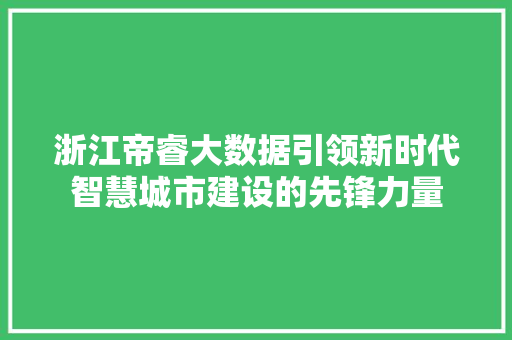 浙江帝睿大数据引领新时代智慧城市建设的先锋力量