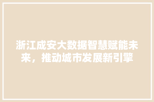 浙江成安大数据智慧赋能未来，推动城市发展新引擎