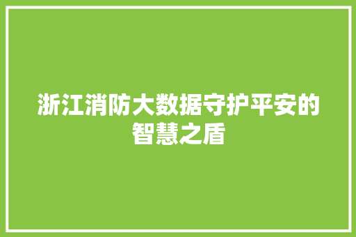 浙江消防大数据守护平安的智慧之盾