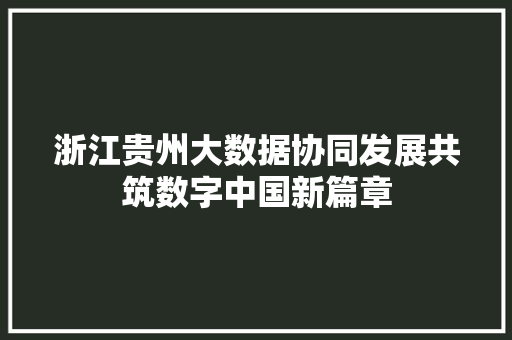 浙江贵州大数据协同发展共筑数字中国新篇章