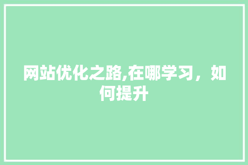 网站优化之路,在哪学习，如何提升