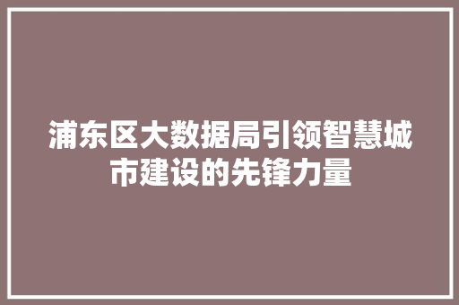 浦东区大数据局引领智慧城市建设的先锋力量