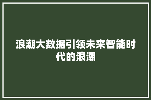 浪潮大数据引领未来智能时代的浪潮