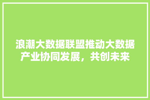 浪潮大数据联盟推动大数据产业协同发展，共创未来
