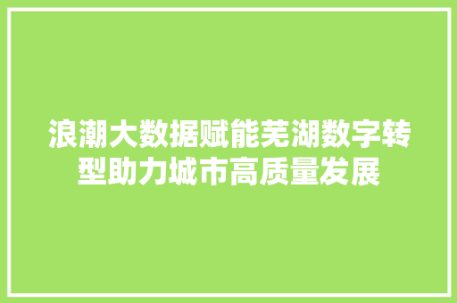 浪潮大数据赋能芜湖数字转型助力城市高质量发展