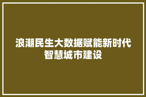浪潮民生大数据赋能新时代智慧城市建设