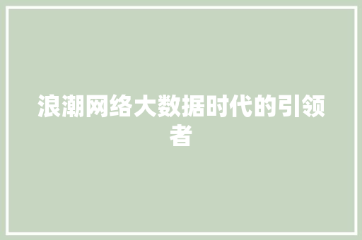 浪潮网络大数据时代的引领者