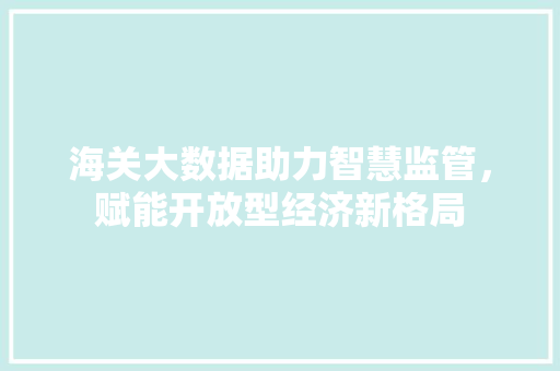 海关大数据助力智慧监管，赋能开放型经济新格局
