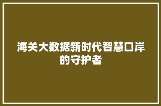 海关大数据新时代智慧口岸的守护者