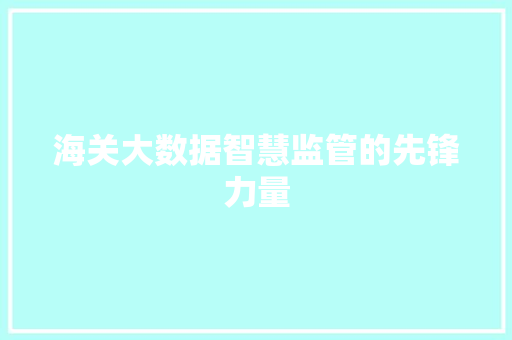 海关大数据智慧监管的先锋力量