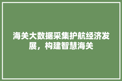 海关大数据采集护航经济发展，构建智慧海关