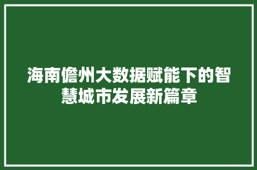 海南儋州大数据赋能下的智慧城市发展新篇章