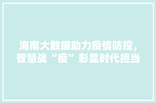 海南大数据助力疫情防控，智慧战“疫”彰显时代担当
