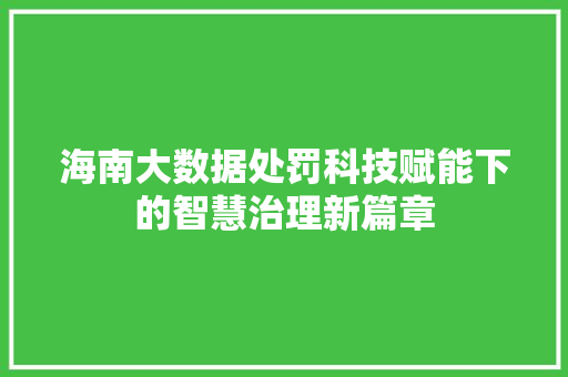 海南大数据处罚科技赋能下的智慧治理新篇章