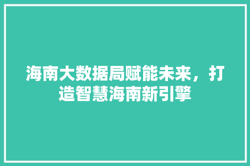 海南大数据局赋能未来，打造智慧海南新引擎