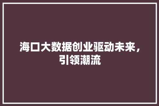 海口大数据创业驱动未来，引领潮流
