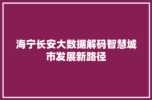 海宁长安大数据解码智慧城市发展新路径