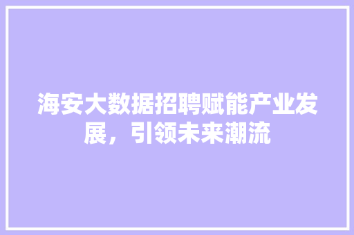 海安大数据招聘赋能产业发展，引领未来潮流